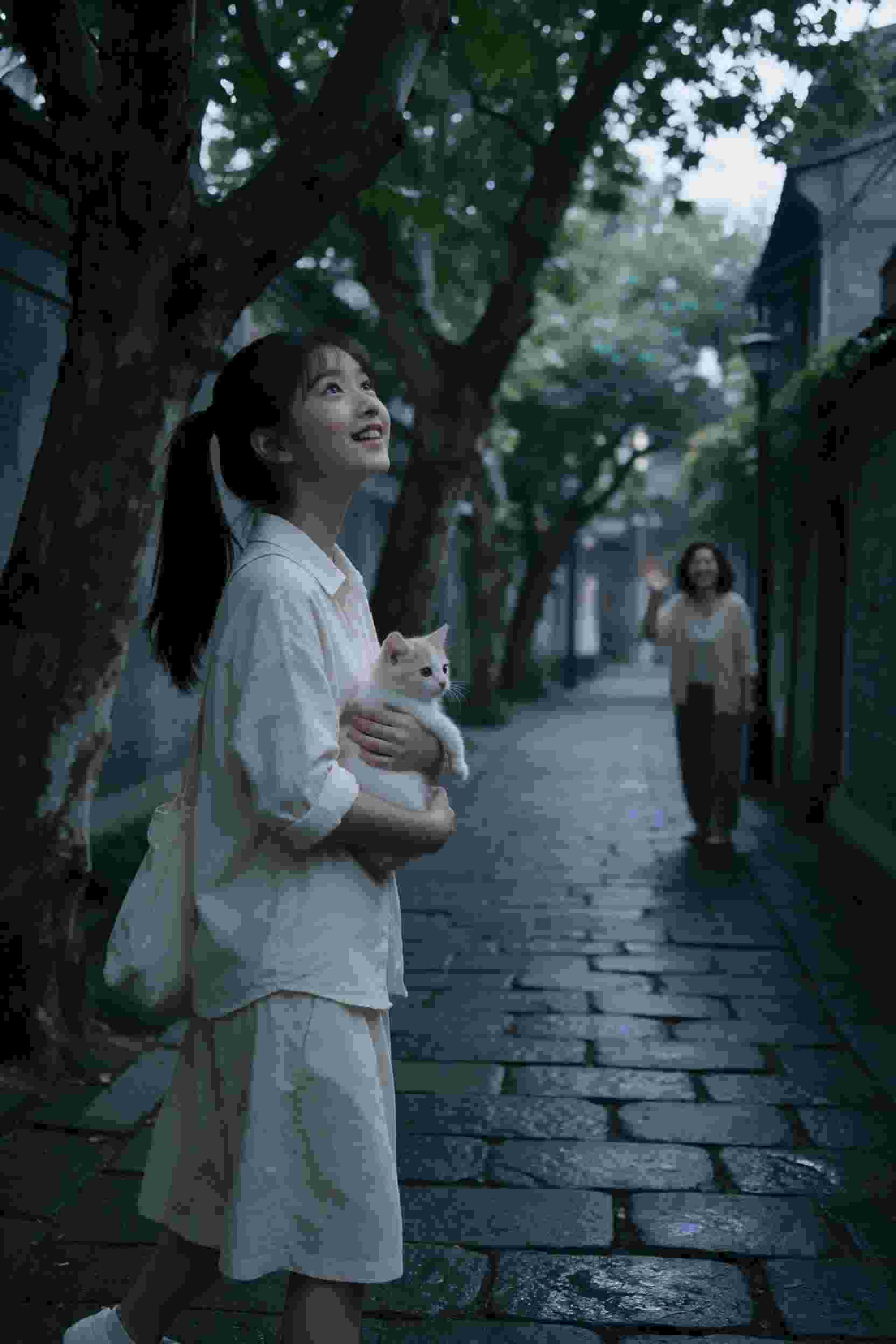 爱上你的理由